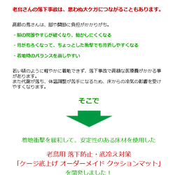 老鳥用 高齢インコ用 落下防止・底冷え対策 ケージ底上げ オーダーメイド クッションマット（鳥さんの体重～500gまで） 2枚目の画像