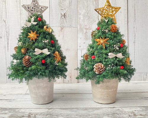 しずくさま専用ページ☆コニファーのクリスマスツリー プリザーブド プリザーブドコニファーでつくるクリスマスツリー【おうちでフラワー