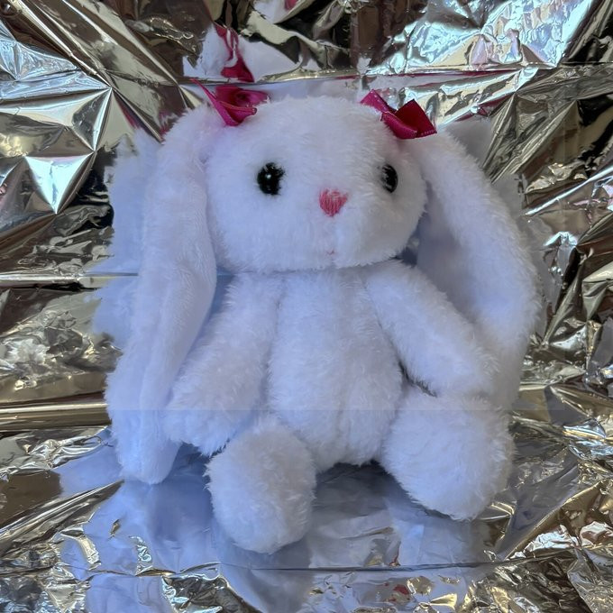 ふわふわ真っ白なたれ耳うさぎさん