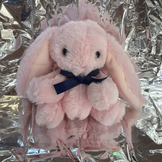 ふわふわベビーピンクのたれ耳うさぎさん