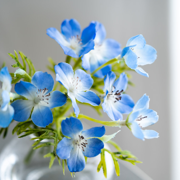 （水換え不要）ネモフィラの小瓶挿し　 5枚目の画像