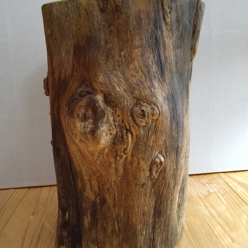 しっかり丸太椅子 ～樫の丸太スツール・サイドテーブル・ディスプレイ