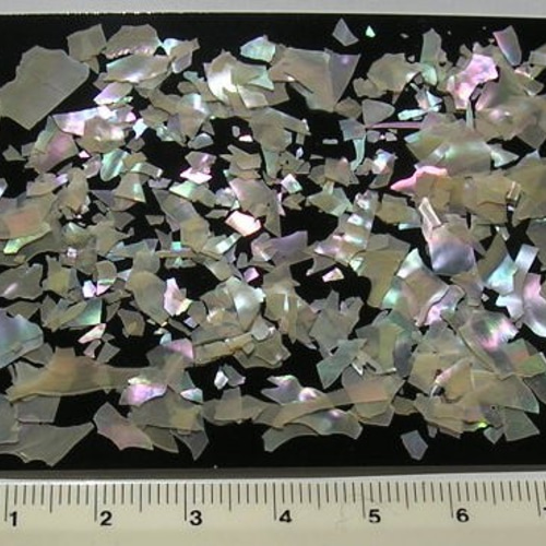 あわび 青貝粉（薄貝の破片)大小セット4gづつ その他素材 radenn 通販