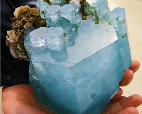 5b5c8259f07919c2f682d9420e14d4