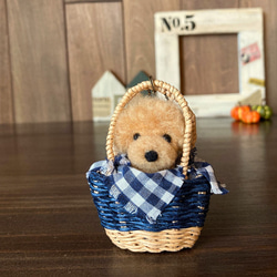 羊毛フェルト かごバッグに入ったトイプードルちゃん アプリコット