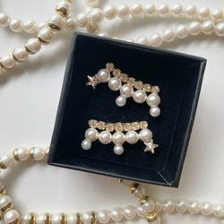 Star pearl dress 【パール/星/冬/秋/結婚式/クリスマス/オーナメント/プレゼント/プチギフト】 1枚目の画像