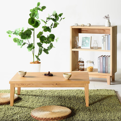 オーク無垢材の本棚｜オープンブックシェルフ 絵本棚 マガジンラック