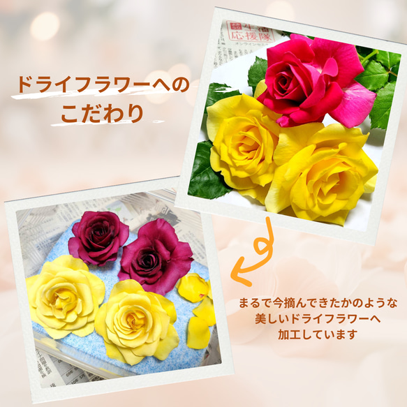 唯一無二のフラワーレジンパネル | カーネーション二輪｜崩れないドライフラワー｜ご褒美・誕生日・結婚・新築・記念日ギフト 8枚目の画像