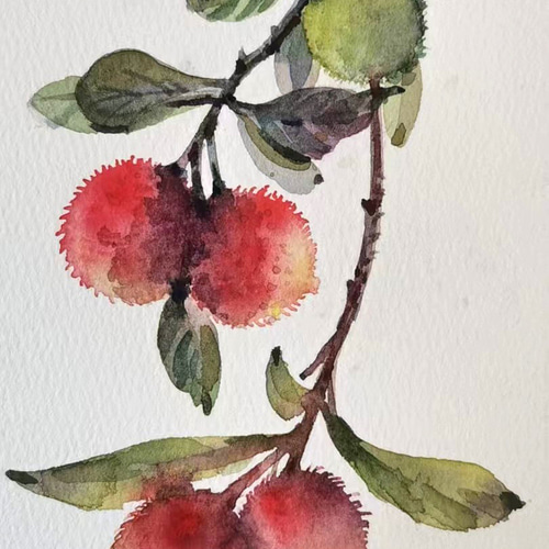 水彩 / 透明水彩 / ミニ原画 / 原画 / 手描きイラスト / ボタニカル