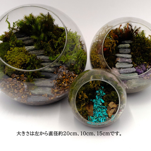 天然石 一点物 無加工 さざれ石 苔テラリウム・盆栽・和風インテリア用 103 ギフト専門】苔テラリウム 10cm ＜森の中の石段＞タイプ（選べる天然石