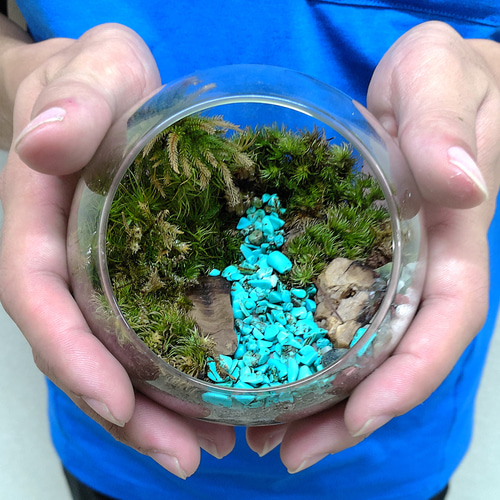 ギフト専門】苔テラリウム 10cm ＜森の中の石段＞タイプ（選べる天然石
