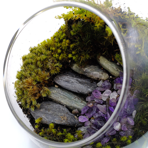 ギフト専門】苔テラリウム 10cm ＜森の中の石段＞タイプ（選べる天然石