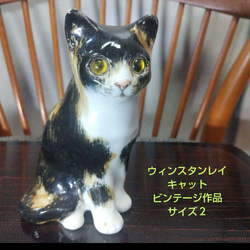 ウィンスタンレイキャット（ケンジントンキャット）サイズ５、ジンジャー&ホワイト ウィンスタンレイキャット（ケンジントンキャット）サイズ5