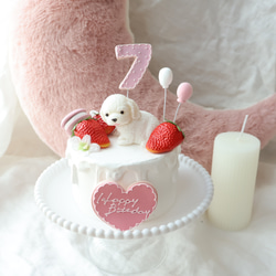 撮影アイテム！わんちゃんと苺いっぱいクレイケーキ♪誕生日　1歳　ナンバー変更承ってます 4枚目の画像