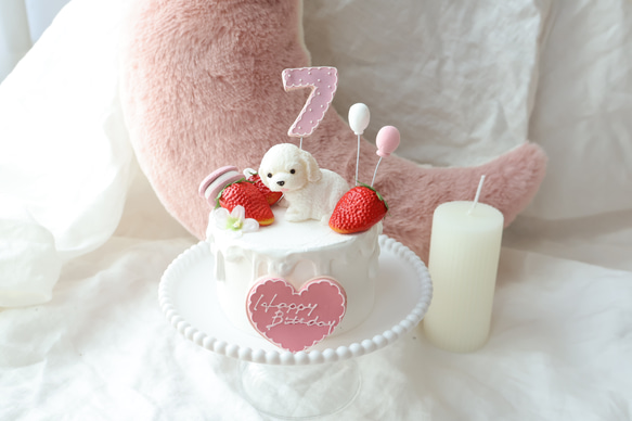 撮影アイテム！わんちゃんと苺いっぱいクレイケーキ♪誕生日　1歳　ナンバー変更承ってます 4枚目の画像