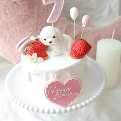 撮影アイテム！わんちゃんと苺いっぱいクレイケーキ♪誕生日　1歳　ナンバー変更承ってます 3枚目の画像
