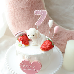 撮影アイテム！わんちゃんと苺いっぱいクレイケーキ♪誕生日　1歳　ナンバー変更承ってます 5枚目の画像