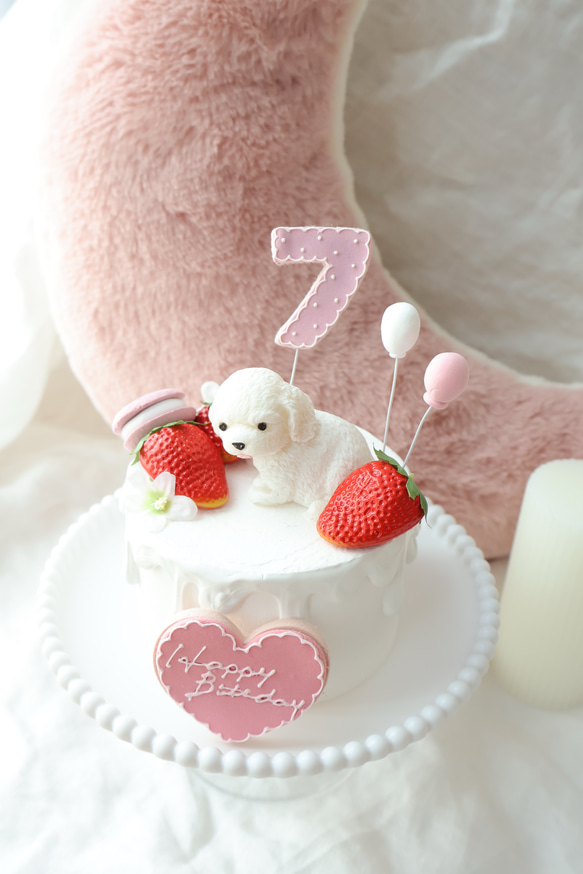 撮影アイテム！わんちゃんと苺いっぱいクレイケーキ♪誕生日　1歳　ナンバー変更承ってます 5枚目の画像