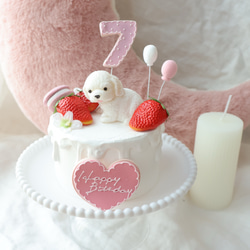 撮影アイテム！わんちゃんと苺いっぱいクレイケーキ♪誕生日　1歳　ナンバー変更承ってます 1枚目の画像