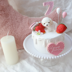 撮影アイテム！わんちゃんと苺いっぱいクレイケーキ♪誕生日　1歳　ナンバー変更承ってます 2枚目の画像