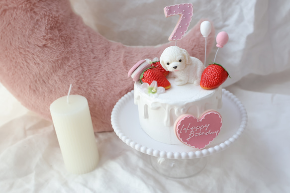 撮影アイテム！わんちゃんと苺いっぱいクレイケーキ♪誕生日　1歳　ナンバー変更承ってます 2枚目の画像