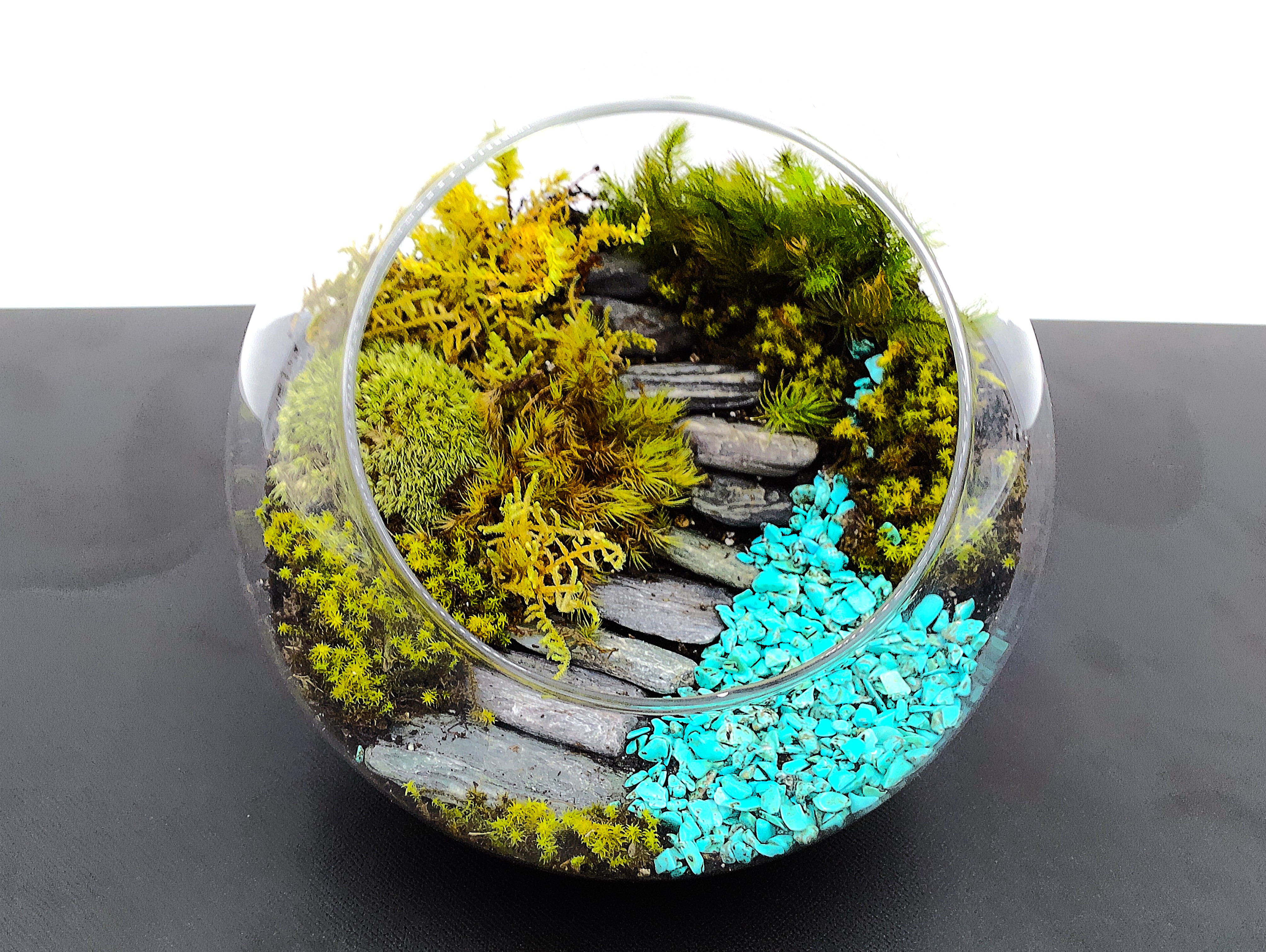 【ギフト専門】苔テラリウム 15cm ＜森の中の石段＞タイプ（選べる天然石のさざれ石）