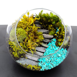 ガラス・ステンドグラス テラリウム のおすすめ人気通販｜Creema