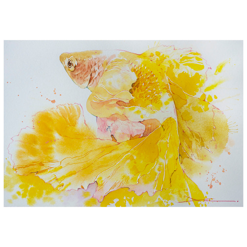 ベタ(黄色)_水彩原画_イラスト イラスト n.akabae 通販 19857955