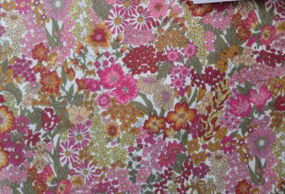 ★ちこ様オーダー★　ペンケース　旧式 1枚目の画像