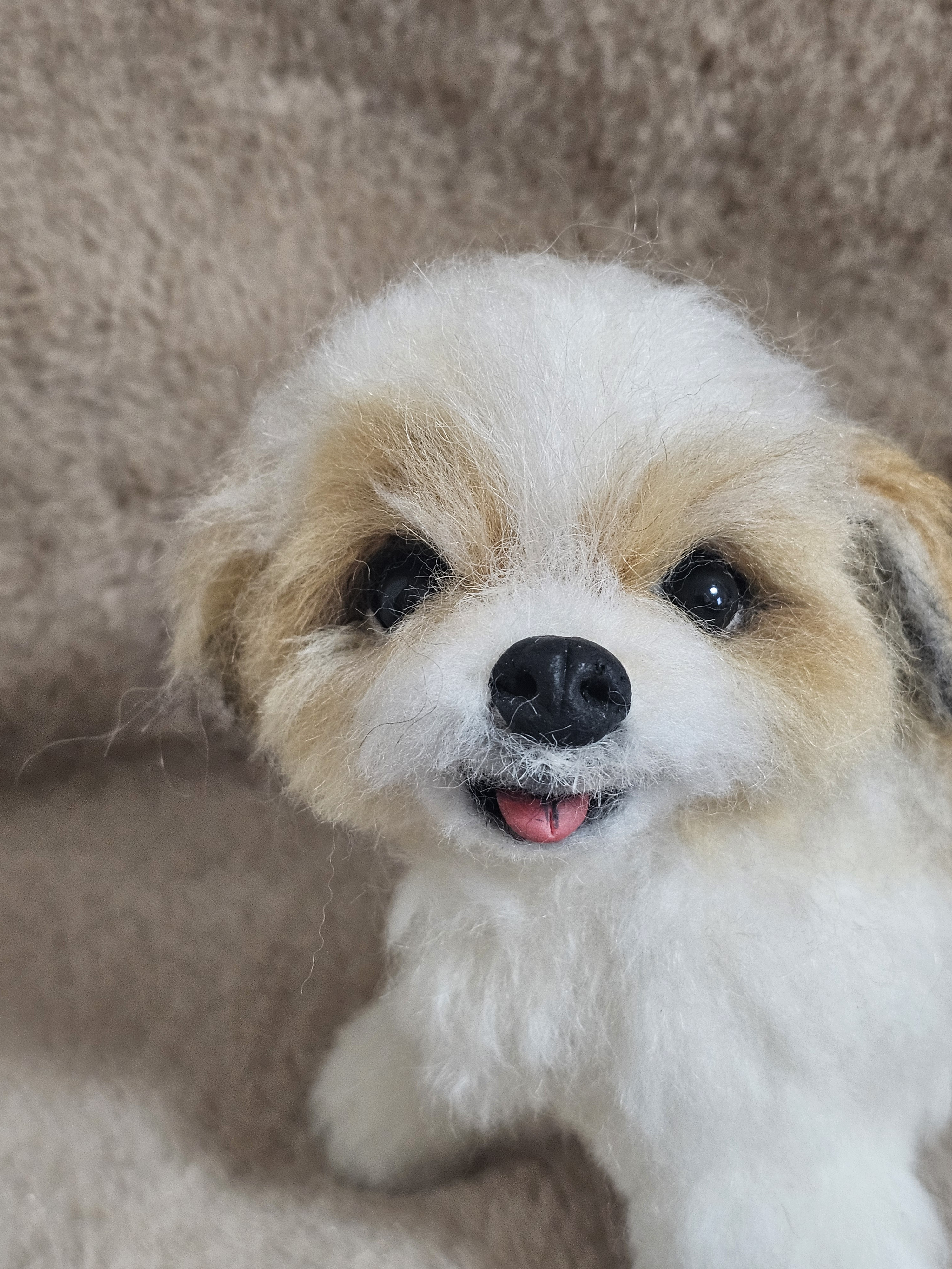 羊毛フェルト　シーズ