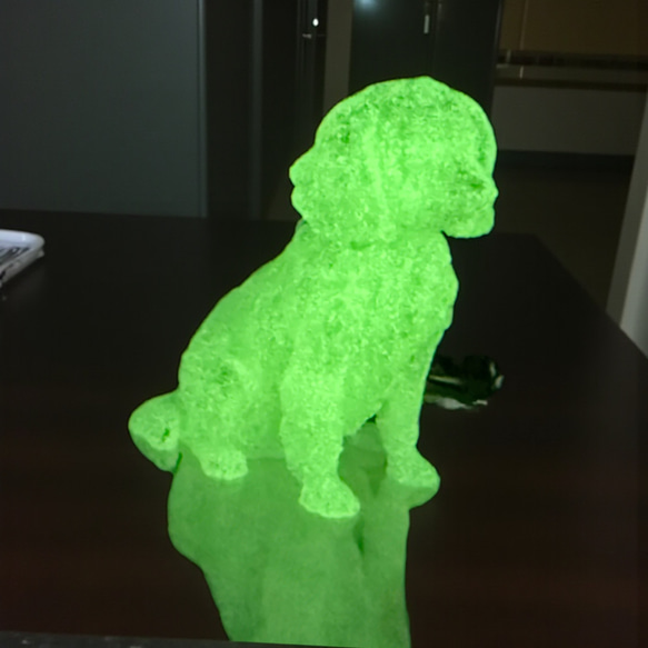 キャバリア　mini3D蓄光（夜光）キーホルダー　半透明蓄光樹脂製 8枚目の画像