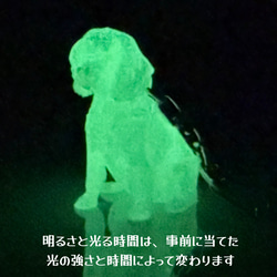 キャバリア　mini3D蓄光（夜光）キーホルダー　半透明蓄光樹脂製 6枚目の画像