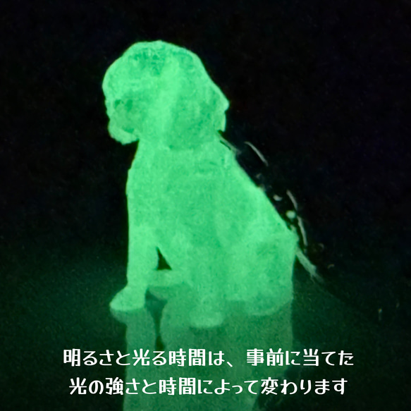 キャバリア　mini3D蓄光（夜光）キーホルダー　半透明蓄光樹脂製 6枚目の画像