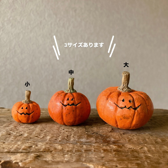 9795.bud ハロウィンかぼちゃ ［中］ 6枚目の画像