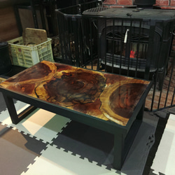 丸太 輪切り テーブル 丸太の輪切りのローテーブルをご紹介 - スタッフブログ