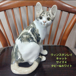 ウィンスタンレイキャット、初期作品、kensington・No.47