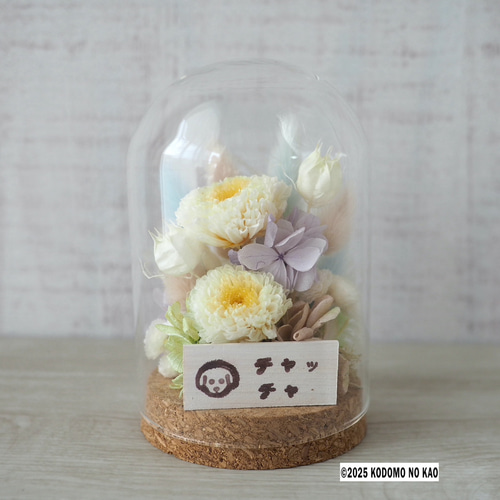 わんちゃんねこちゃん専用 お供えの花 プリザーブドフラワー QUEUE DE