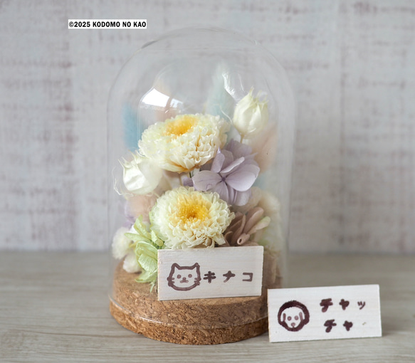 わんちゃんねこちゃん専用 お供えの花 プリザーブドフラワー QUEUE DE