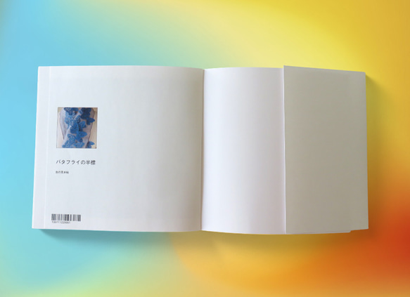 book　バタフライの半襟 15枚目の画像