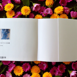 book　バタフライの半襟 14枚目の画像