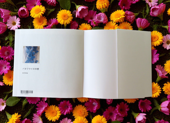 book　バタフライの半襟 14枚目の画像