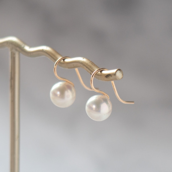 テリに深みのある貝パール・ピアス～14KGF(イヤリング加工可) 10枚目の画像