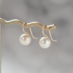 テリに深みのある貝パール・ピアス～14KGF(イヤリング加工可) 9枚目の画像