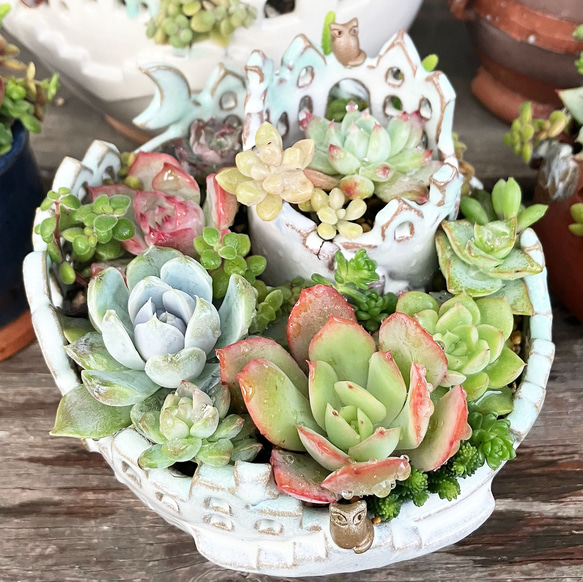 猫と梟の棲む月夜の街 2段鉢　P・Mh2　　(植物なし） 6枚目の画像