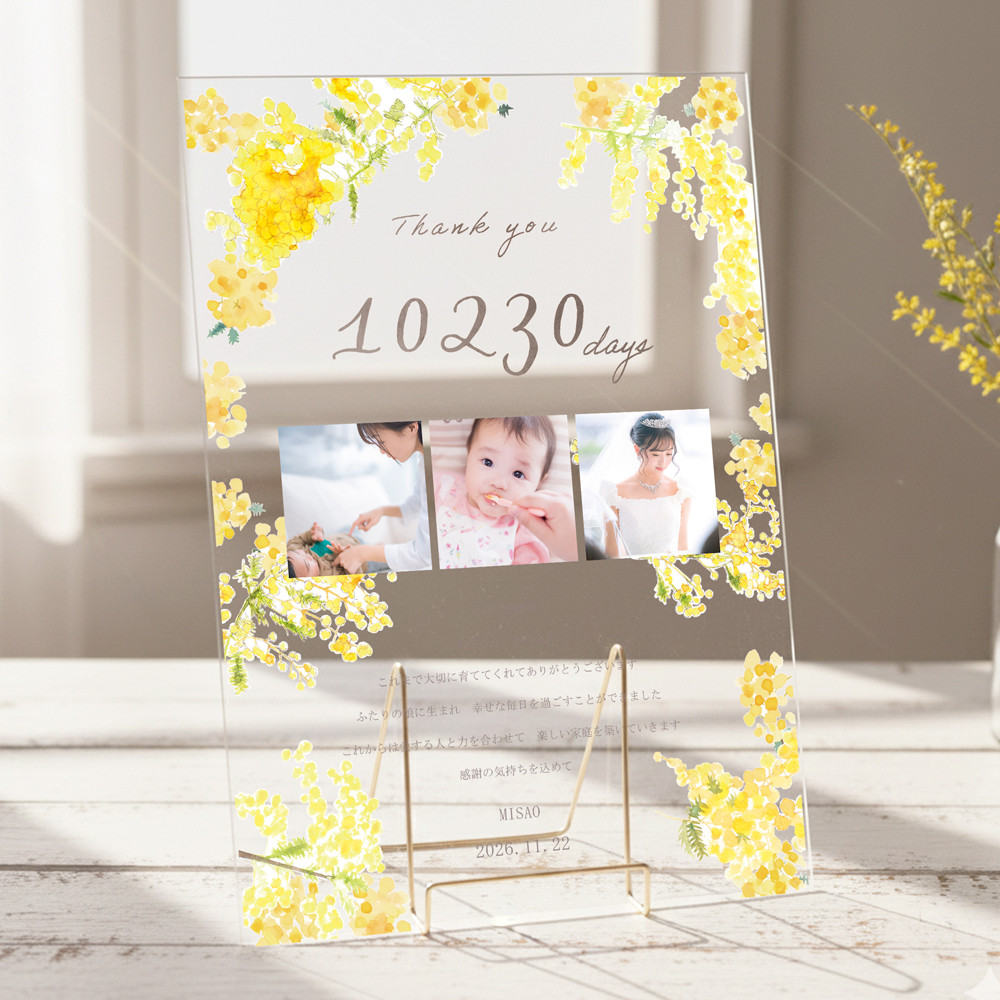両親贈呈品 ミモザの感謝状 アクリル 写真入り 名入れ可