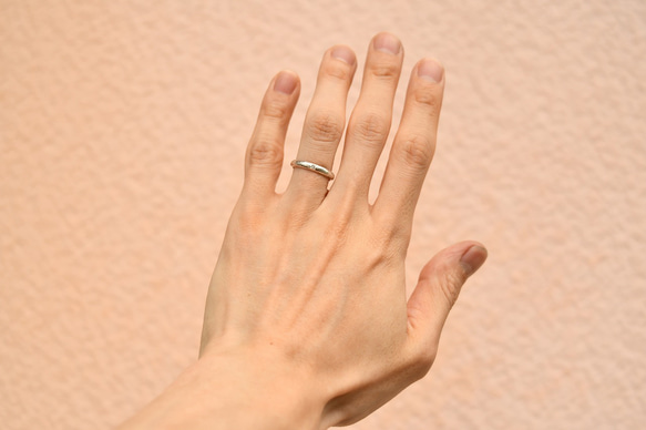 銀物語と光たち〜ブルームーンストーン・ガーネット〜 8枚目の画像