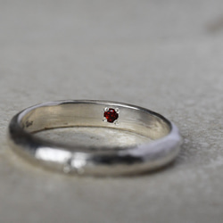 銀物語と光たち〜ブルームーンストーン・ガーネット〜 2枚目の画像