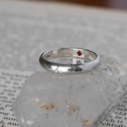 銀物語と光たち〜ブルームーンストーン・ガーネット〜 6枚目の画像