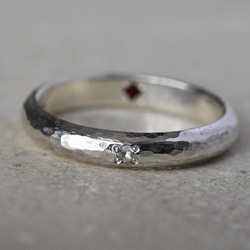 銀物語と光たち〜ブルームーンストーン・ガーネット〜 4枚目の画像