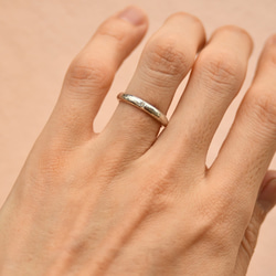 銀物語と光たち〜ブルームーンストーン・ガーネット〜 9枚目の画像